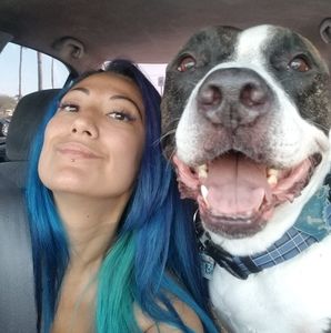 Meet your Posher, Blue